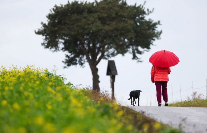 Bei Regen oder Sonnenschein: Tägliche Spaziergänge helfen dem Körper, sich besser an Temperaturwechsel zu gewöhnen.<span class='image-autor'>Thomas Warnack/dpa/dpa-tmn</span>