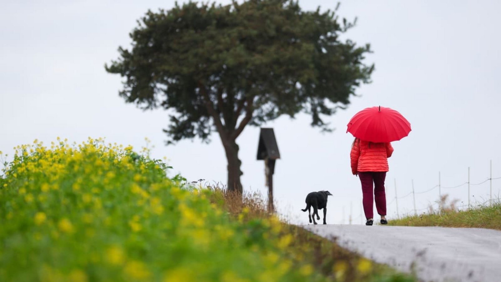Bei Regen oder Sonnenschein: Tägliche Spaziergänge helfen dem Körper, sich besser an Temperaturwechsel zu gewöhnen.Thomas Warnack/dpa/dpa-tmn