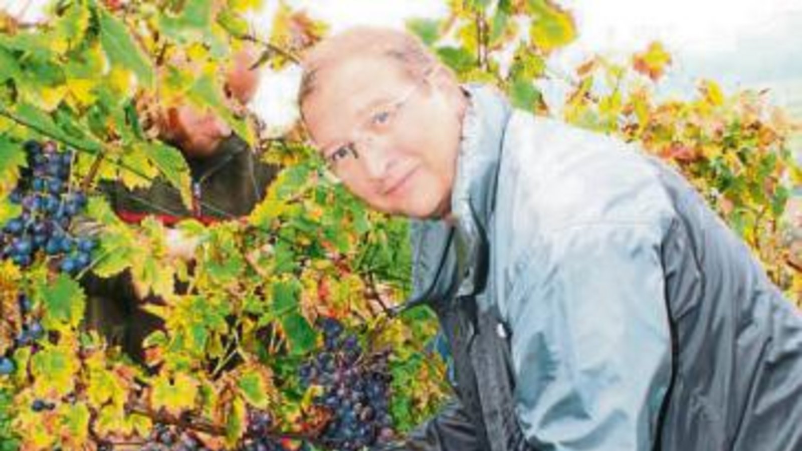Horst Fiedler (l.) und German Thüry im Weinberg. Horst Fiedler (l.) und German Thüry im Weinberg.