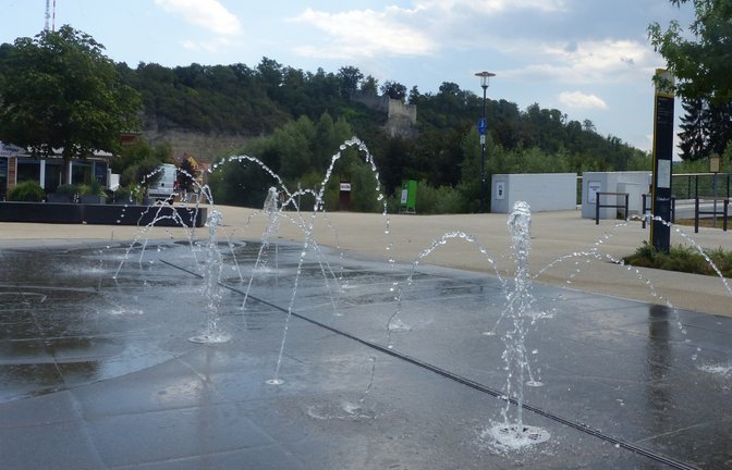 Mühlacker Hitze Hitzeaktionstag Aktionstag Enzgärten Enzwiese Foto: Stadt Mühlacker