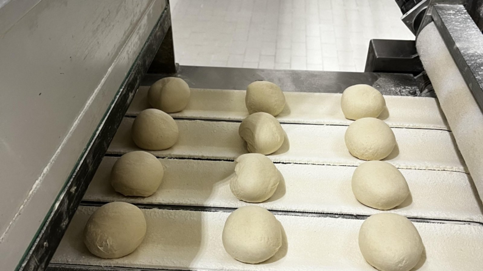 Bäckerei Katz, Brötchen, Produktion, Foto: Dittrich