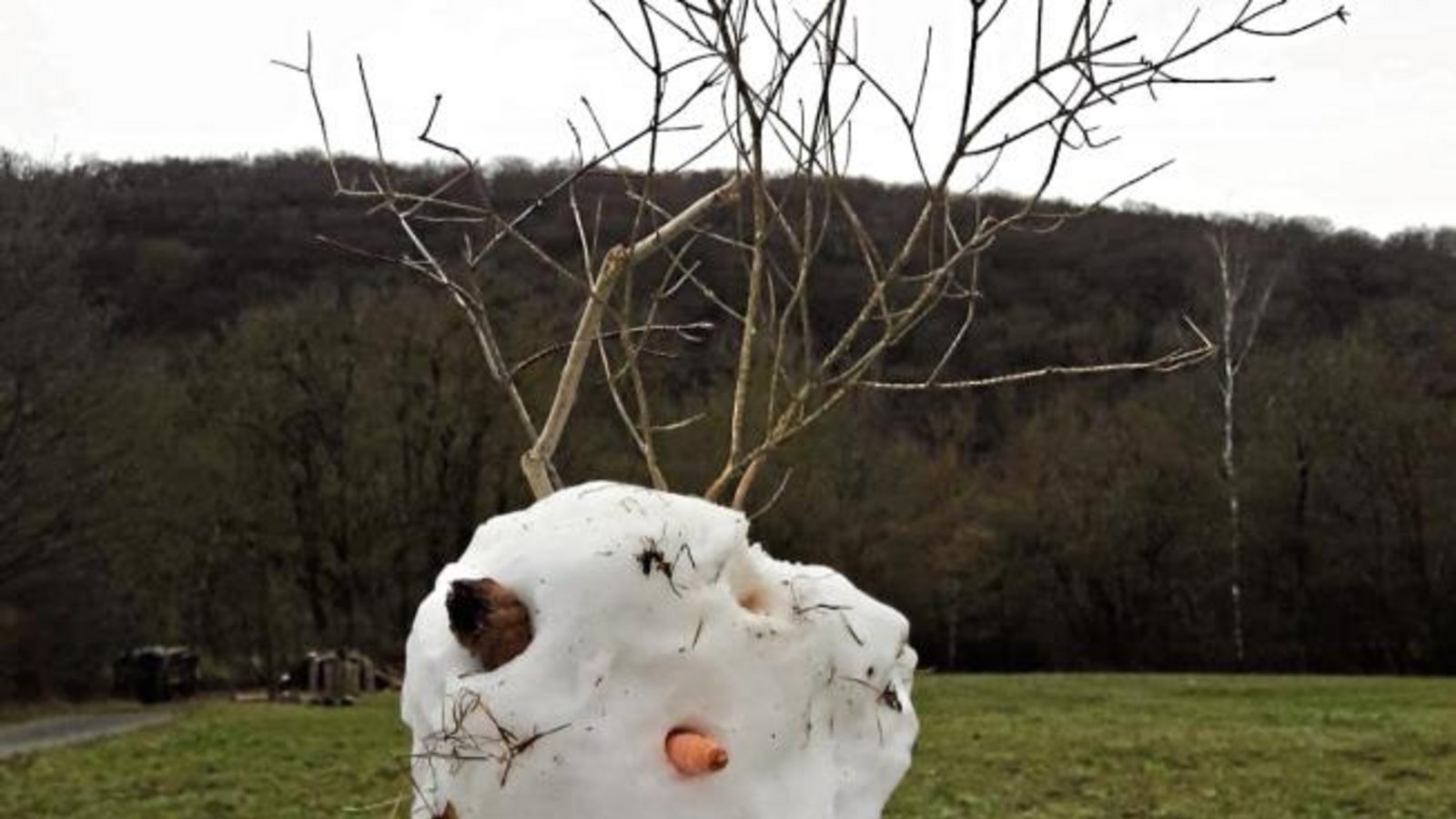 Selbst Schneewesen scheinen frisurtechnisch unter dem Lockdown zu leiden.  Foto: sr