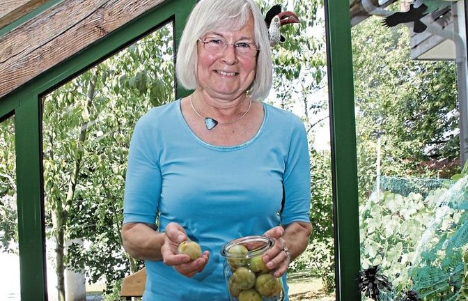 Nicht nur mit Reineclauden, auch mit manch anderen Früchtchen ist Ingeborg Beller in ihrer Zeit als UBL-Fraktionsvorsitzende in Illingen schon fertig geworden.  Foto: Romanowski