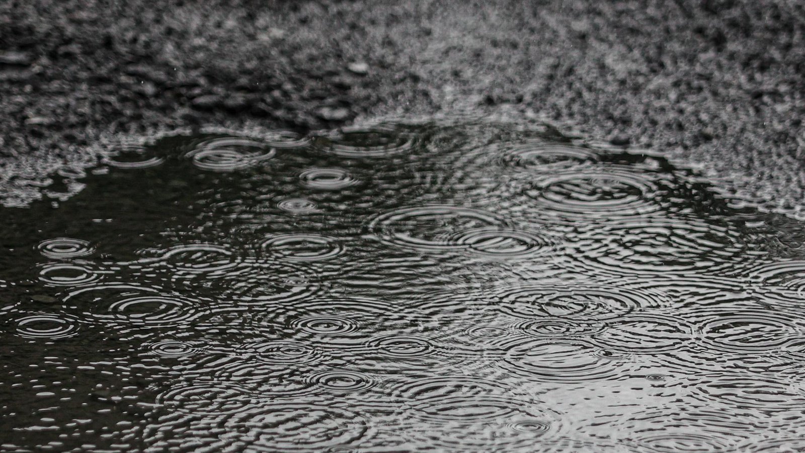 In den kommenden Tagen erwartet Baden-Württemberg viel Regen (Symbolbild).Foto: IMAGO/aal.photo/IMAGO/Piero Nigro In den kommenden Tagen erwartet Baden-Württemberg viel Regen (Symbolbild).Foto: IMAGO/aal.photo/IMAGO/Piero Nigro