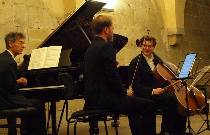 Bernd Glemser Tobias Feldmann und Niklas Eppinger (von links) brachten unter anderem Beethovens „Geistertrio“ zu Gehör.  <span class='image-autor'>Foto: Filitz</span>