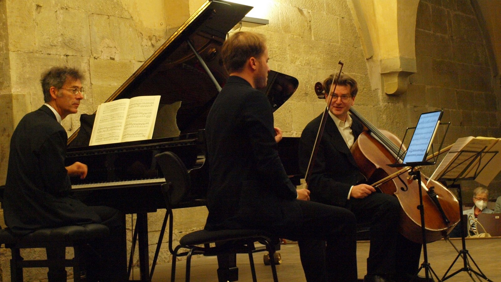 Bernd Glemser Tobias Feldmann und Niklas Eppinger (von links) brachten unter anderem Beethovens „Geistertrio“ zu Gehör.  Foto: Filitz