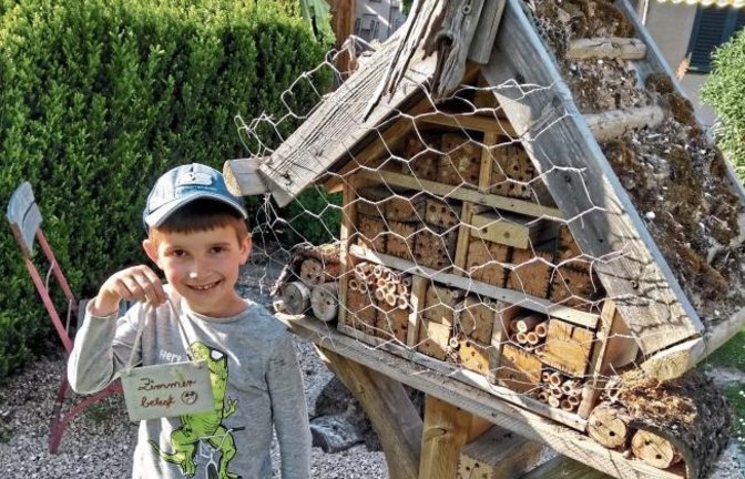 Mit Mindestabstand im Garten festgehalten: Der Erstklässler Jann Wiegner aus Ensingen hatte in der „schulfreien Zeit“ tägliche Zählübungen. Satte 118 Belegungen wurden im gemeinsam mit seinem Opa betriebenen Hotel für Wildbienen gezählt. In Zeiten verlass