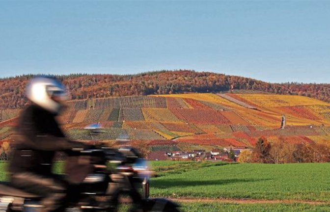 Mit Tempo am Horrheimer Klosterberg vorbei. Foto: Arning
