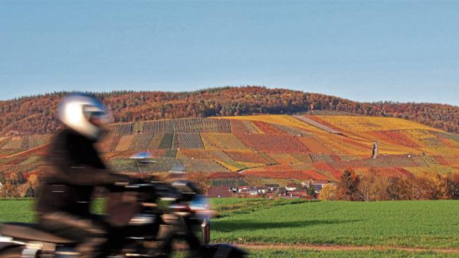 Mit Tempo am Horrheimer Klosterberg vorbei. Foto: Arning