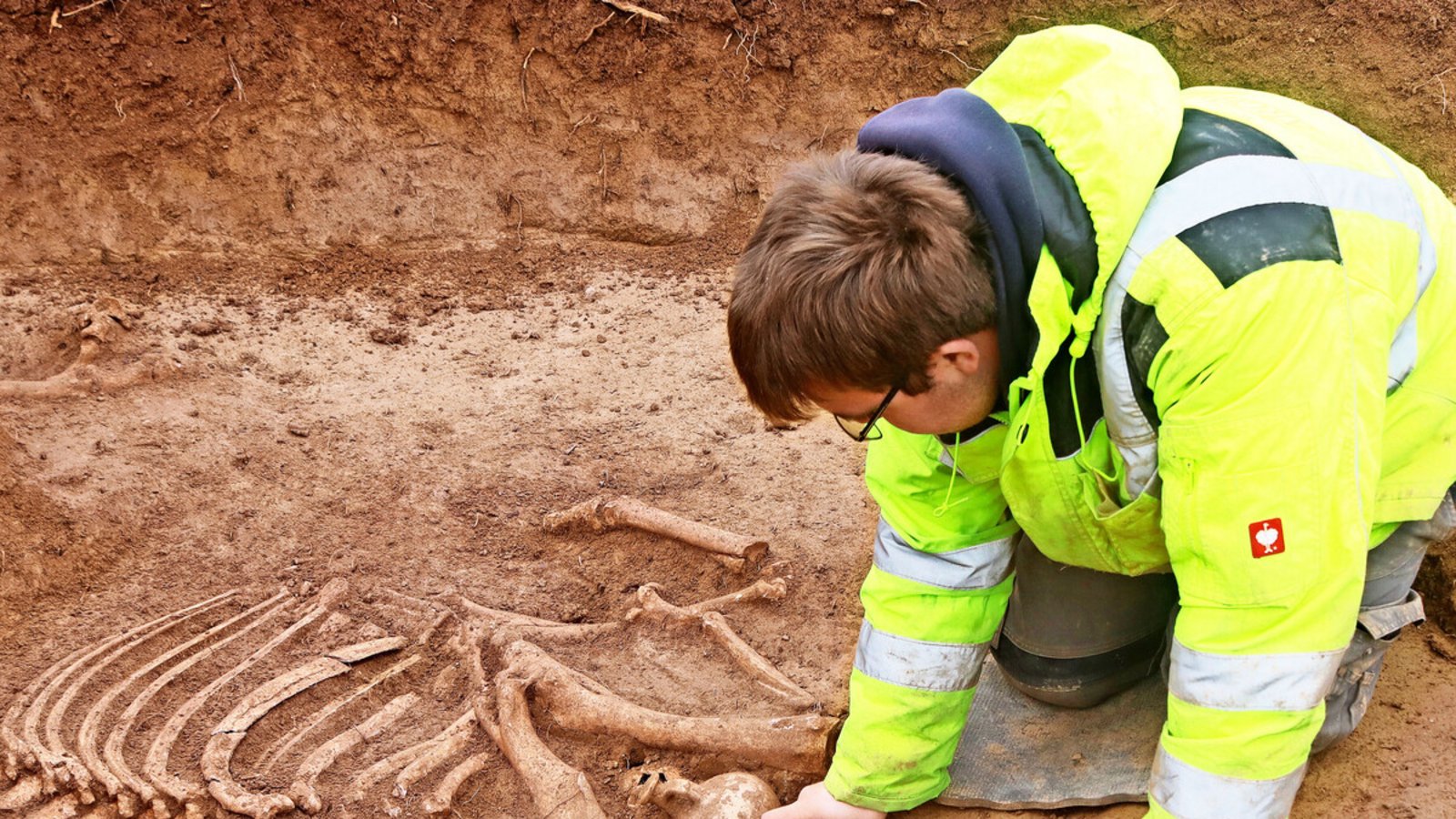 Bei einem der römischen Pferdeskelette wurden auch Grabbeigaben entdeckt.Foto: ArchaeoBW Bei einem der römischen Pferdeskelette wurden auch Grabbeigaben entdeckt.Foto: ArchaeoBW