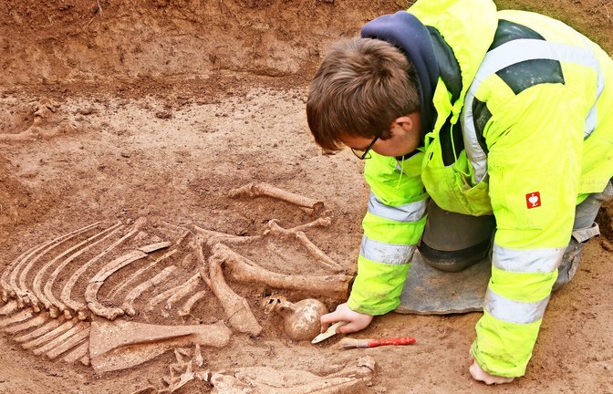 Bei einem der römischen Pferdeskelette wurden auch Grabbeigaben entdeckt.<span class='image-autor'>Foto: ArchaeoBW</span>