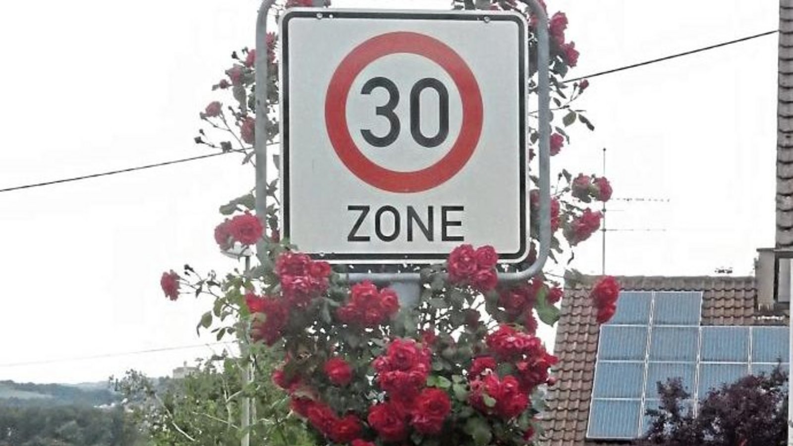 Sag’s mit Rosen: Hier beginnt die 30er-Zone. Gesehen von Albert Arning in Enzweihingen.