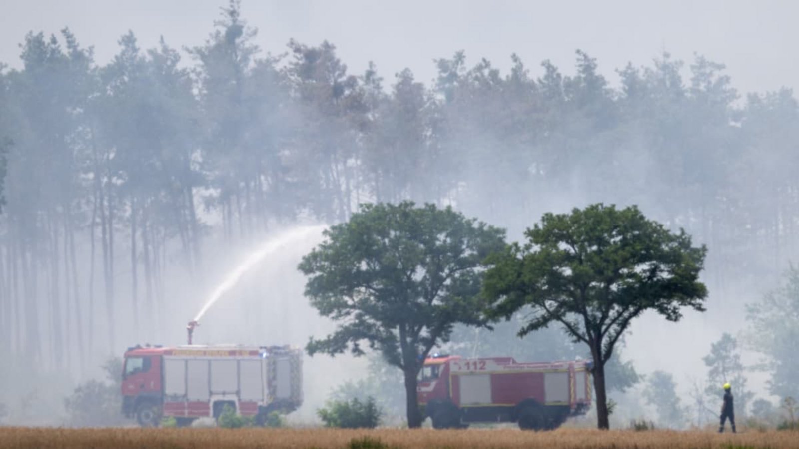 Seit 2018 gibt es eine Häufung von Waldbrandjahren.Sebastian Kahnert / dpa Seit 2018 gibt es eine Häufung von Waldbrandjahren.Sebastian Kahnert / dpa