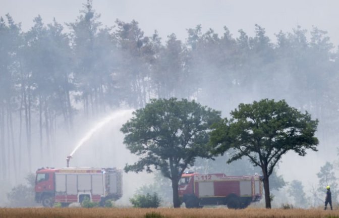 Seit 2018 gibt es eine Häufung von Waldbrandjahren.<span class='image-autor'>Sebastian Kahnert / dpa</span>