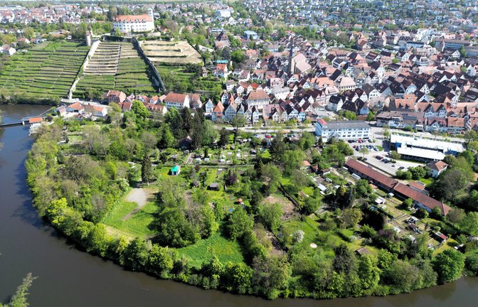 Spielt eine große Rolle bei der Gartenschau 2029: die Enz, hier mit den Bürgergärten. <span class='image-autor'>Foto: Küppers</span>