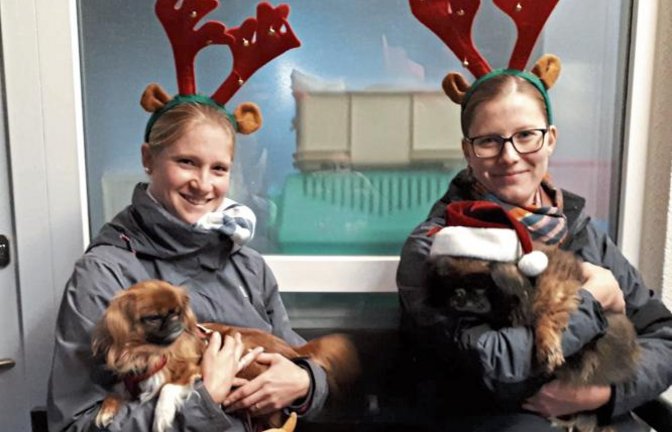 Der Tierschutzverein freut sich auf den Besuch beim Vaihinger Weihnachtsmarkt am 1. Dezember auf dem Marktplatz. Dieses Jahr ist der Weihnachtsstand direkt am Marktplatzbrunnen; es gibt vegane Waffeln und Kürbissuppe. Natürlich gibt es auch diesmal wieder einige selbst gemachte Dinge zu kaufen. Der Erlös kommt den Tieren zugute.  Foto: p