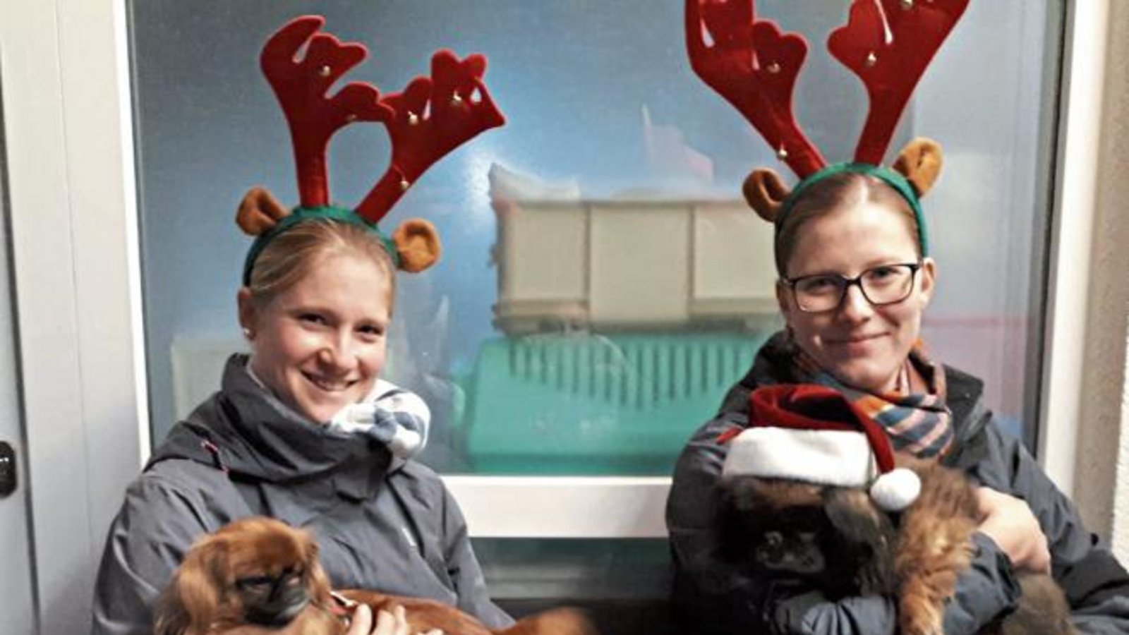 Der Tierschutzverein freut sich auf den Besuch beim Vaihinger Weihnachtsmarkt am 1. Dezember auf dem Marktplatz. Dieses Jahr ist der Weihnachtsstand direkt am Marktplatzbrunnen; es gibt vegane Waffeln und Kürbissuppe. Natürlich gibt es auch diesmal wieder einige selbst gemachte Dinge zu kaufen. Der Erlös kommt den Tieren zugute. Foto: p Der Tierschutzverein freut sich auf den Besuch beim Vaihinger Weihnachtsmarkt am 1. Dezember auf dem Marktplatz. Dieses Jahr ist der Weihnachtsstand direkt am Marktplatzbrunnen; es gibt vegane Waffeln und Kürbissuppe. Natürlich gibt es auch diesmal wieder einige selbst gemachte Dinge zu kaufen. Der Erlös kommt den Tieren zugute. Foto: p