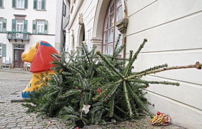 Dieser weggeworfene Baum vor dem Vaihinger Rathaus macht es mehr als deutlich: Das Ende der Weihnachtszeit gekommen.  Foto: Banholzer