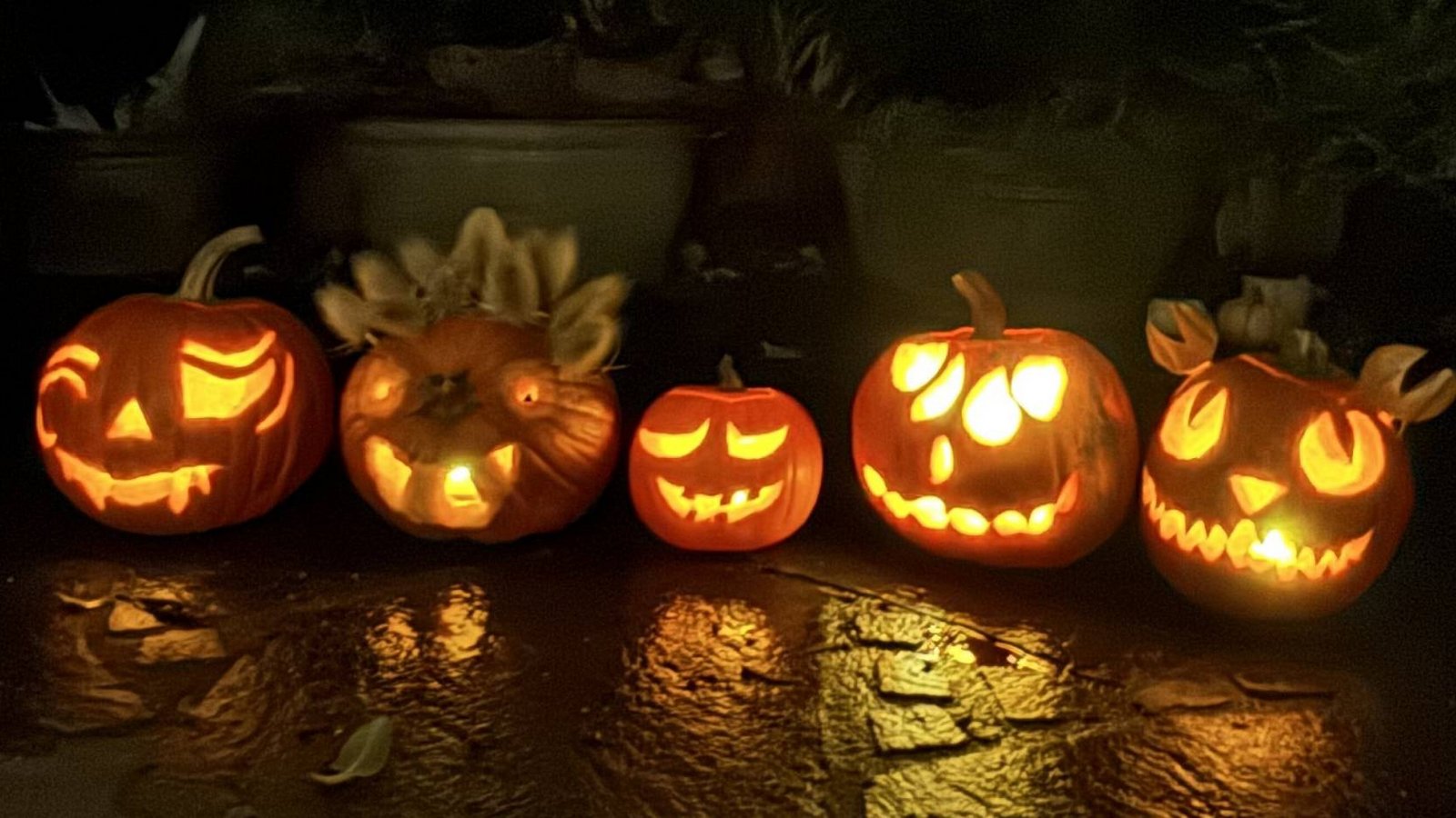 Leserfoto Halloween Kürbis Kürbislaternen Elle Brstilo