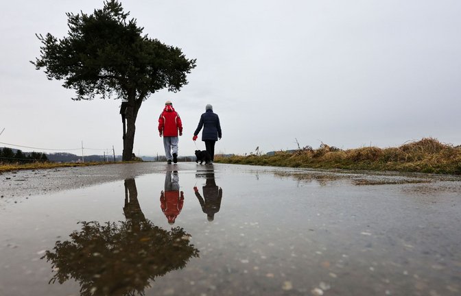 Im Schwarzwald sorgen die Eisheiligen für Dauerregen. (Symbolbild)<span class='image-autor'>Foto: Thomas Warnack/dpa/Thomas Warnack</span>