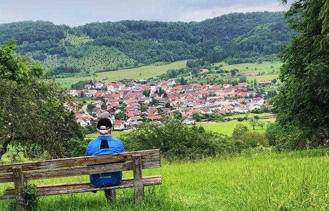 Blick auf Unterböhringen<span class='image-autor'>Foto: /Jakob Panitz</span>