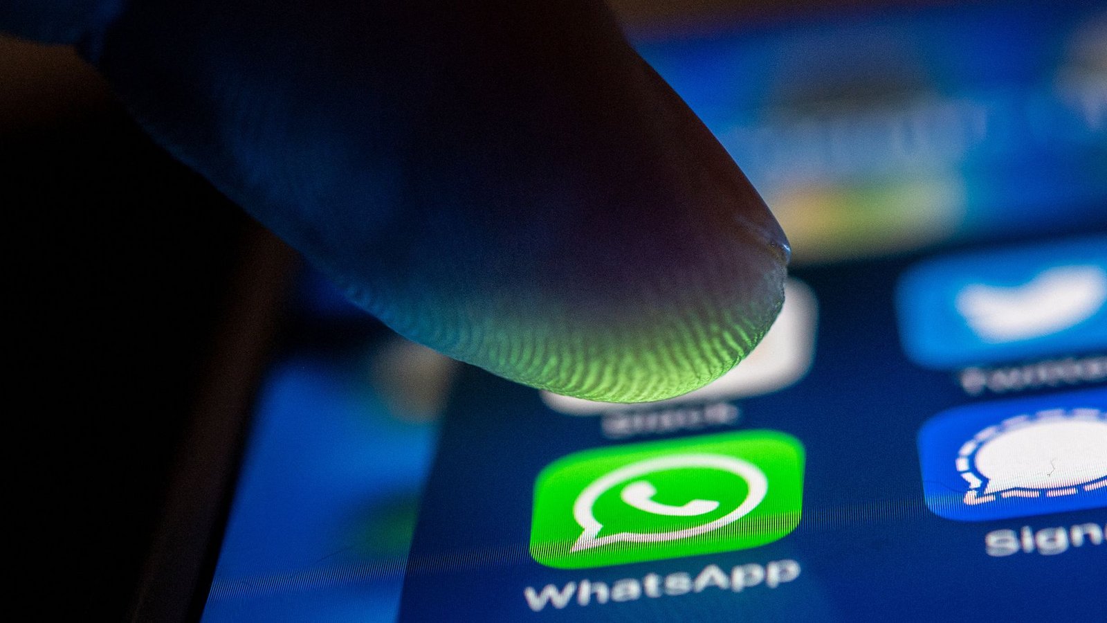 Auf WhatsApp wird der Betrug oft angebahnt.Foto: dpa/Zacharie Scheurer Auf WhatsApp wird der Betrug oft angebahnt.Foto: dpa/Zacharie Scheurer