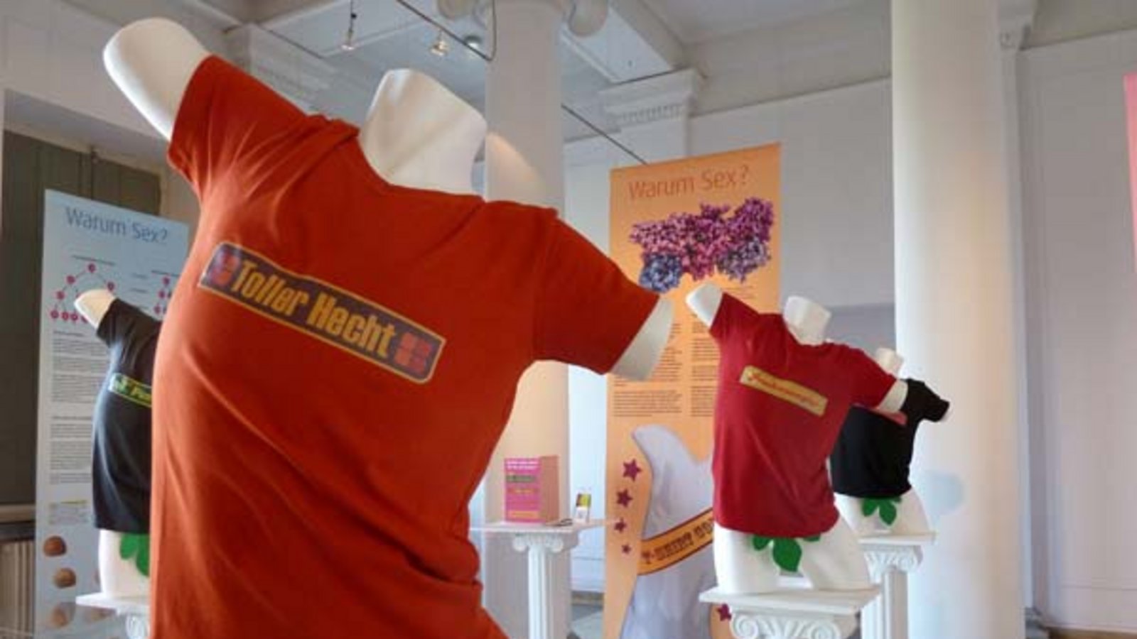 Blick in die Sonderausstellung von Schloss Rosenstein. Foto: Rücker