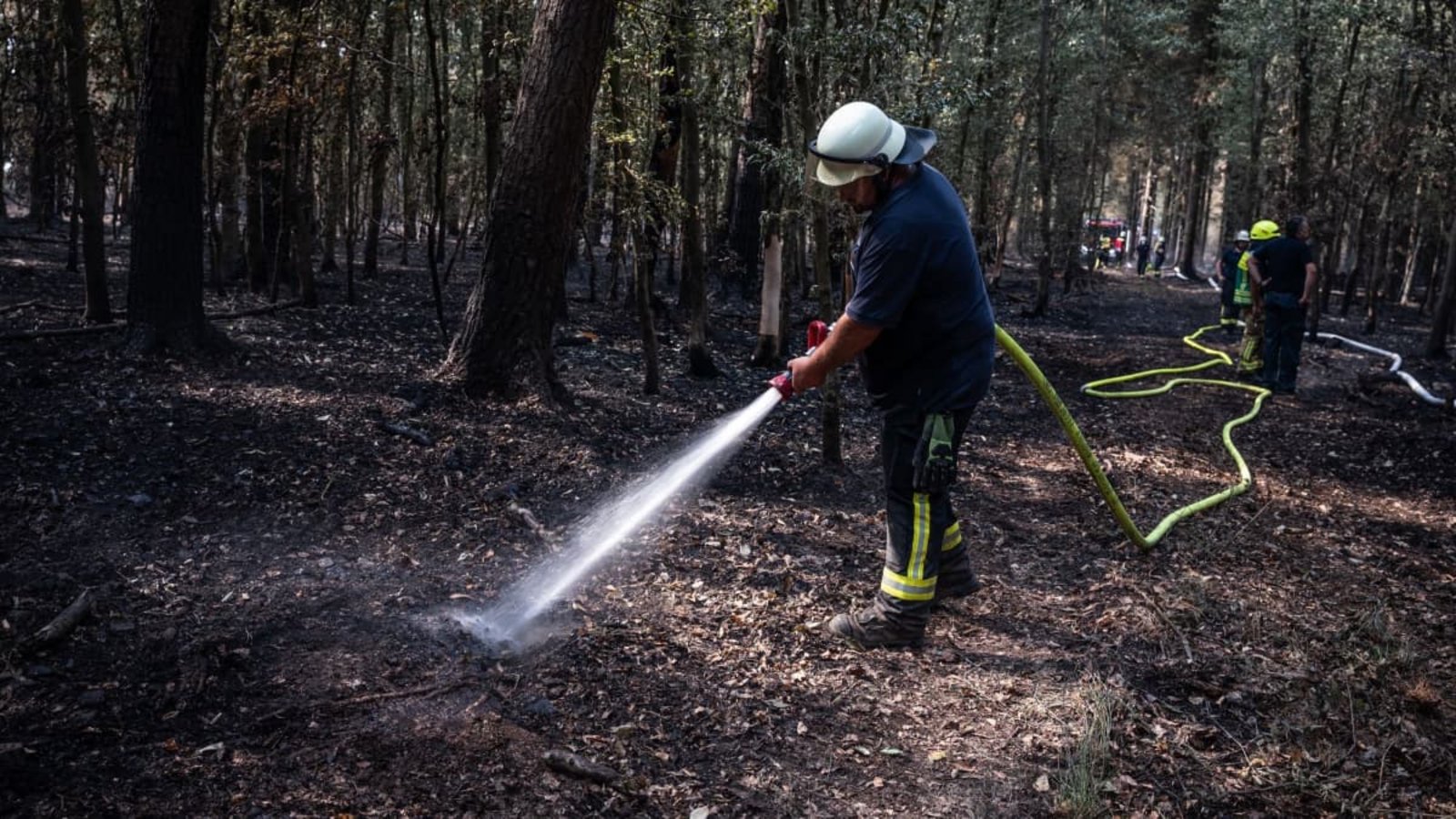 Feuerwehrmänner sind bei Nachlöscharbeiten in einem Waldstück im Hürtgenwald im Einsatz.Christian Knieps/dpa Feuerwehrmänner sind bei Nachlöscharbeiten in einem Waldstück im Hürtgenwald im Einsatz.Christian Knieps/dpa