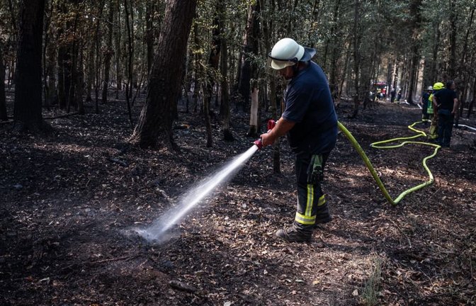 Feuerwehrmänner sind bei Nachlöscharbeiten in einem Waldstück im Hürtgenwald im Einsatz.<span class='image-autor'>Christian Knieps/dpa</span>