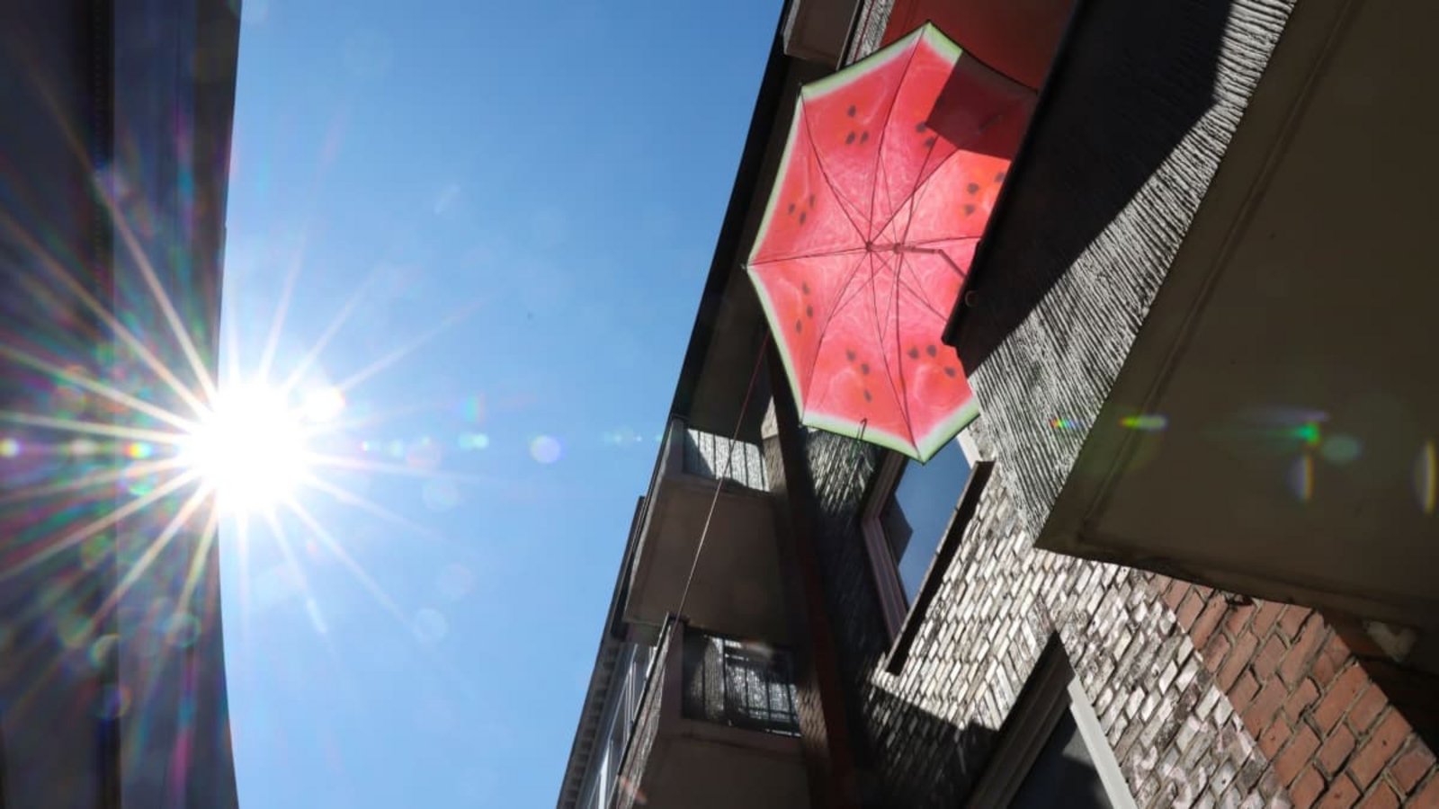 Wetter in Böblingen: Am Freitag werden bis zu 35 Grad erwartet. Für den Kreis gilt eine amtliche Hitzewarnung, bevor am Wochenende Gewitter und Abkühlung folgen.Christian Charisius/dpa Wetter in Böblingen: Am Freitag werden bis zu 35 Grad erwartet. Für den Kreis gilt eine amtliche Hitzewarnung, bevor am Wochenende Gewitter und Abkühlung folgen.Christian Charisius/dpa