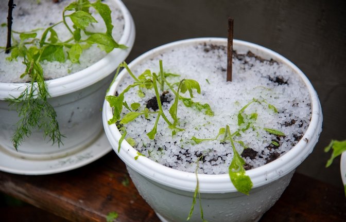Auch Hagel kann sich heute bilden.<span class='image-autor'>Foto: Aia DS / shutterstock.com</span>