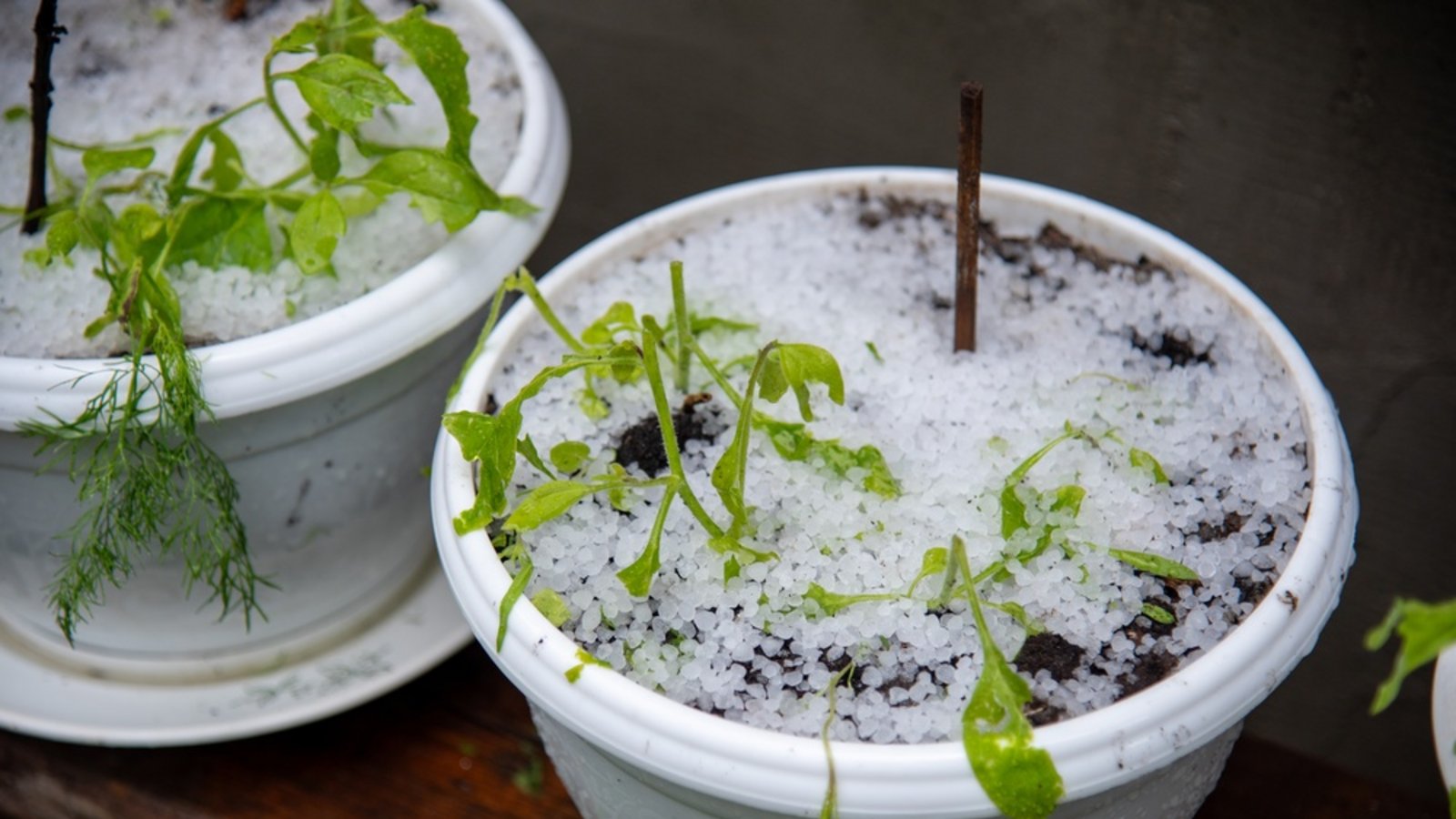 Auch Hagel kann sich heute bilden.Foto: Aia DS / shutterstock.com Auch Hagel kann sich heute bilden.Foto: Aia DS / shutterstock.com