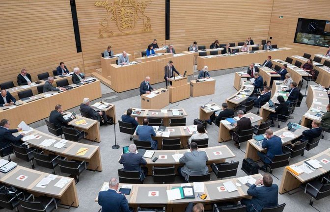 Das Thema Gender-Verbot wurde am Mittwoch im Landtag heiß diskutiert (Archivbild).<span class='image-autor'>Foto: dpa/Bernd Weißbrod</span>
