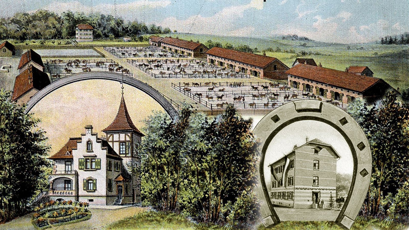 Das Remontedepot Breithülen am Rande des Truppenübungsplatzes Münsingen auf einer Postkarte von 1904: Dort wurden Pferde gezüchtet, die für das Militär in Württemberg benötigt wurden.Foto: Joachim Lenk
