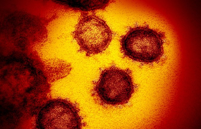 Das Coronavirus mutiert weiter, die neueste relevante Variante wird „Kraken“ genannt.<span class='image-autor'>Foto: Archiv //Rml</span>