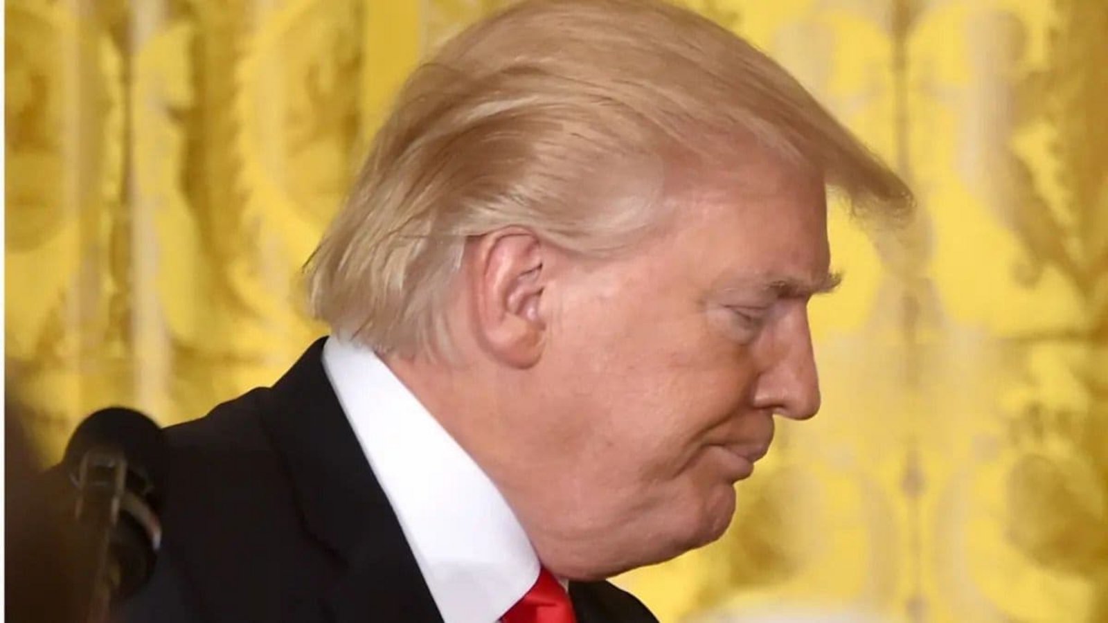 „Cement-Hairstyle“: So nennt man unter Top-Coiffeuren die Haarpracht von US-Präsident Donald Trump.AFP „Cement-Hairstyle“: So nennt man unter Top-Coiffeuren die Haarpracht von US-Präsident Donald Trump.AFP