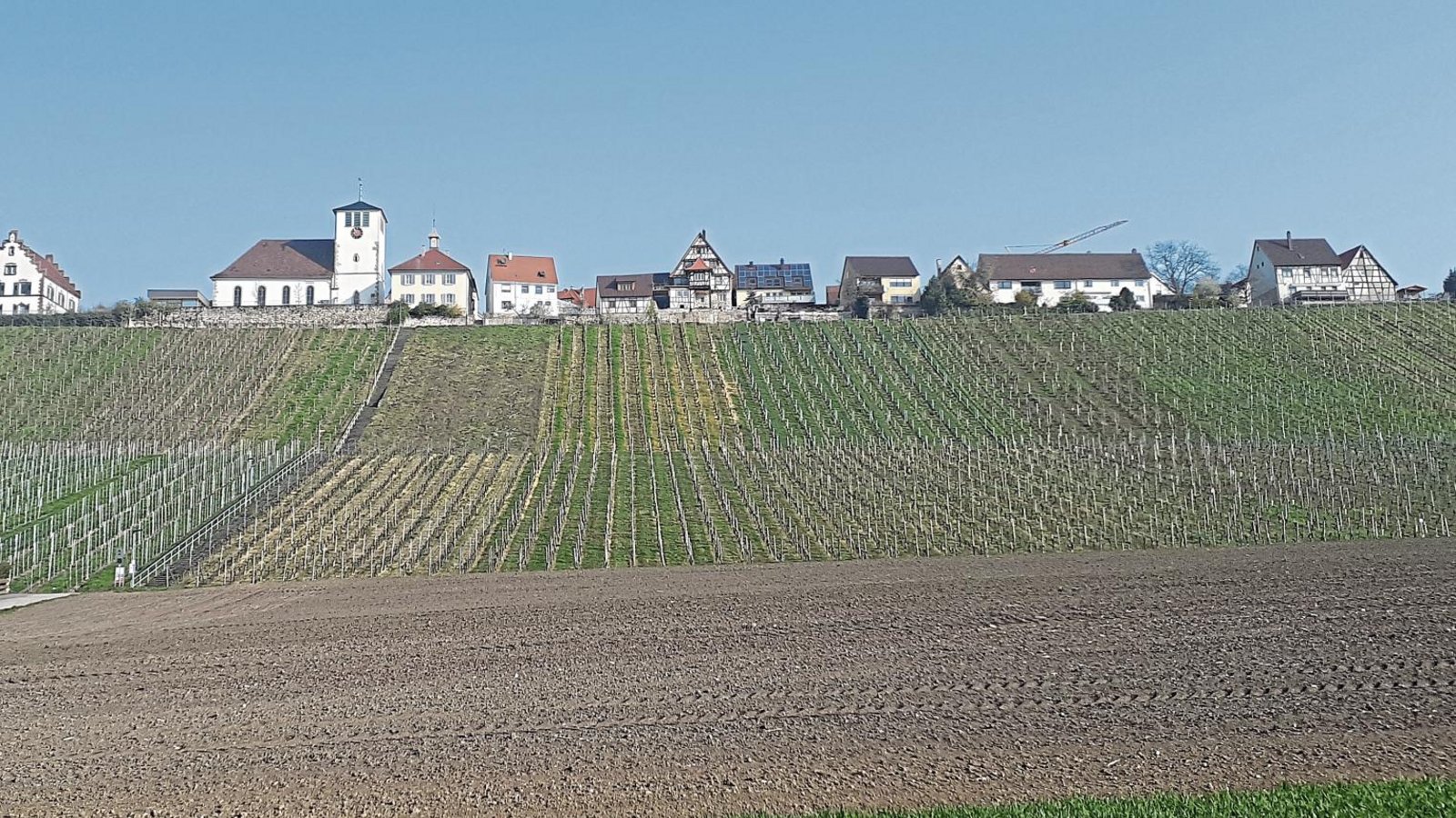 Auf einer Freifläche an der Straße nach Freudental schlagen zwei Hohenhaslacher Bürger einen öffentlichen Besucherparkplatz für den Weitblickweg vor.  Foto: Glemser