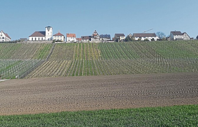 Auf einer Freifläche an der Straße nach Freudental schlagen zwei Hohenhaslacher Bürger einen öffentlichen Besucherparkplatz für den Weitblickweg vor.  Foto: Glemser