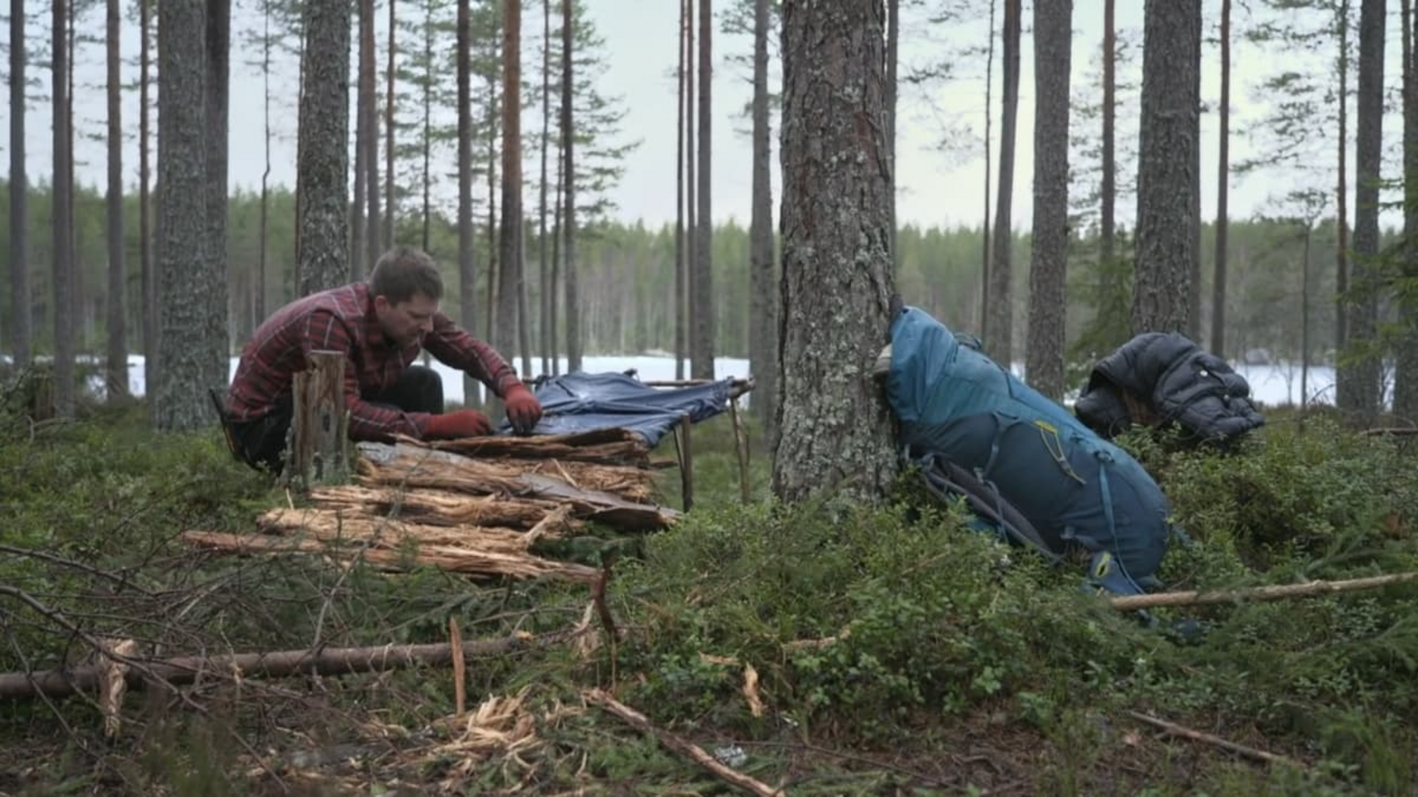 Wie gut können die Teilnehmer in der Wildnis überleben? Das wird bei der Wildcard-Challenge von „7 vs. Wild" getestet. Mit dabei: Cristian Hofmann aus Villingen.Prime Video, 7vs.Wild - Wildcard 2026