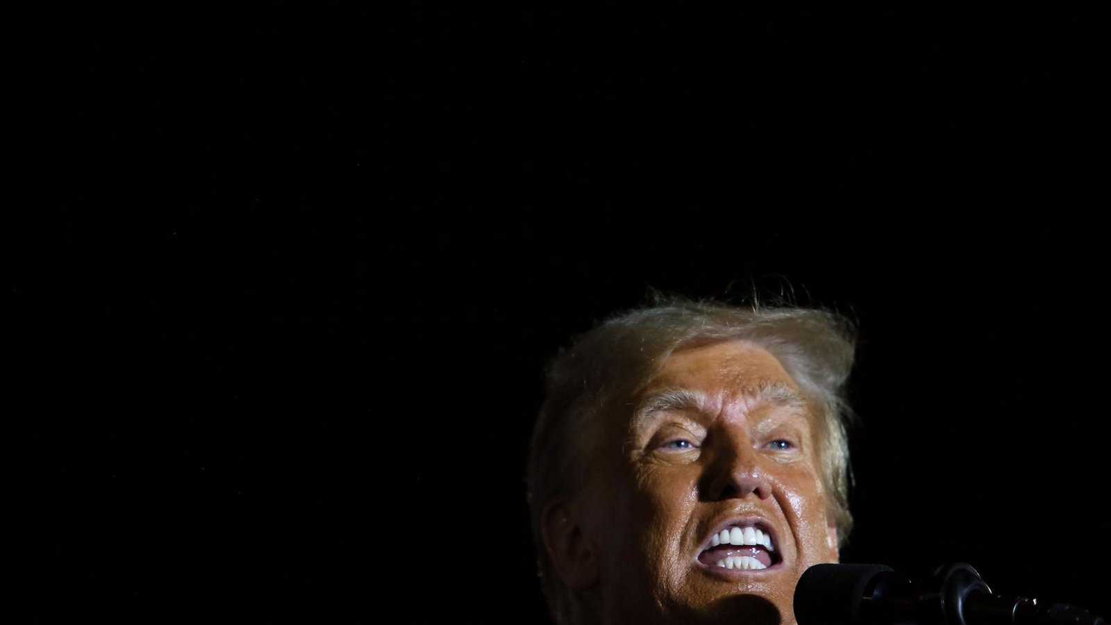 Drohungen gegen alle Kritiker: Donald Trump will ins Weiße Haus zurück.Foto: AFP/Skuy Drohungen gegen alle Kritiker: Donald Trump will ins Weiße Haus zurück.Foto: AFP/Skuy