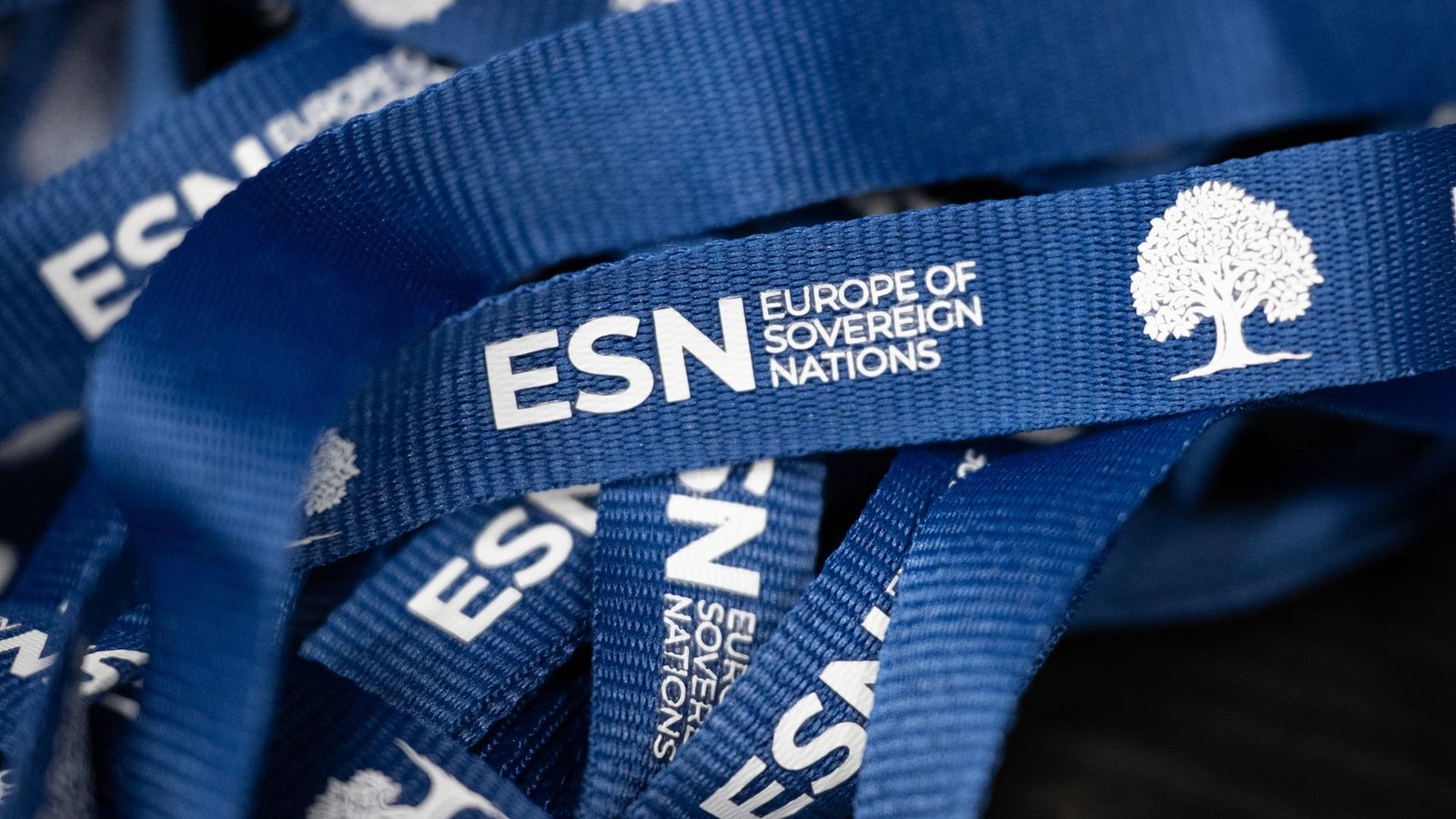 Zu den Mitgliedern der Europapartei ESN gehört auf die deutsche Alternative für Deutschland. (Archivbild)Foto: Sebastian Kahnert/dpa Zu den Mitgliedern der Europapartei ESN gehört auf die deutsche Alternative für Deutschland. (Archivbild)Foto: Sebastian Kahnert/dpa