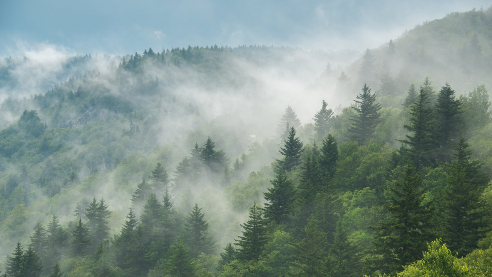 So lüften Sie bei Nebel richtig.Foto: jadimages / shutterstock.com So lüften Sie bei Nebel richtig.Foto: jadimages / shutterstock.com