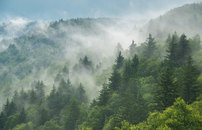 So lüften Sie bei Nebel richtig.<span class='image-autor'>Foto: jadimages / shutterstock.com</span>