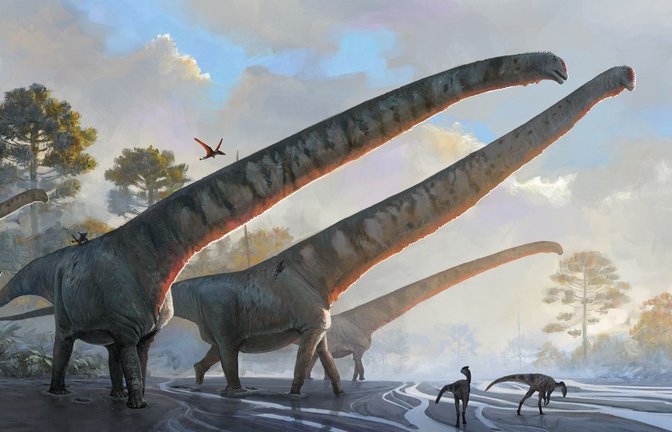 Die undatierte Illustration des Natural History Museums zeigt "Mamenchisaurus sinocanadorums".<span class='image-autor'>Foto: Julia D Oliveira/ Natural Histor/Natural History Museum via PA Media/dpa</span>