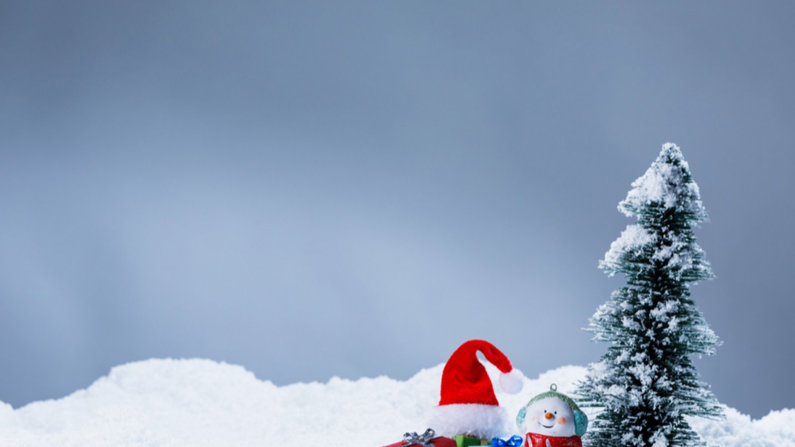 Diese Alternativen zum Weihnachtsbaum gibt es.Foto: Yellowj / shutterstock.com Diese Alternativen zum Weihnachtsbaum gibt es.Foto: Yellowj / shutterstock.com