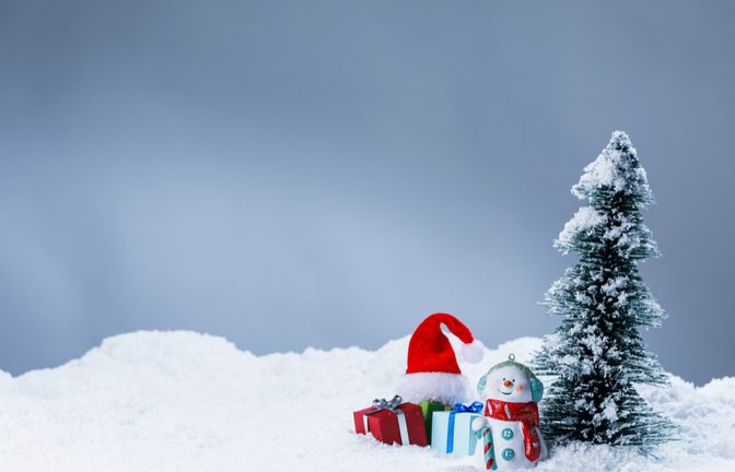 Diese Alternativen zum Weihnachtsbaum gibt es.<span class='image-autor'>Foto: Yellowj / shutterstock.com</span>