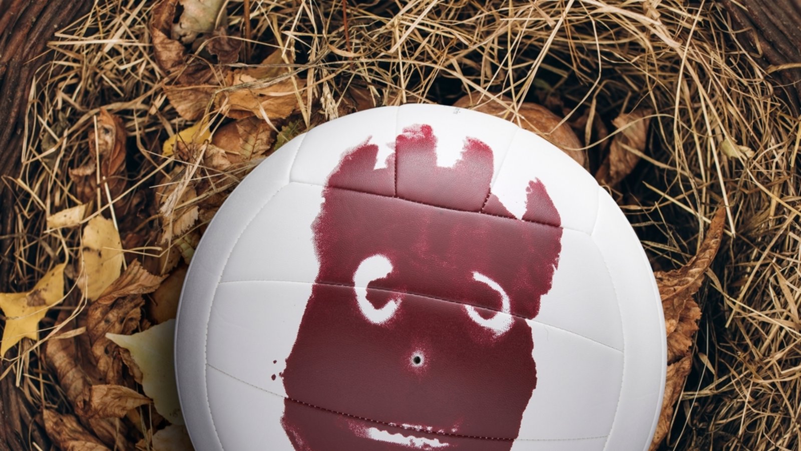 Volleyball "Wilson" spielte vor 25 Jahren eine wichtige Rolle im Kino - im Film "Cast Away".Foto: Horizon_Illustration Volleyball "Wilson" spielte vor 25 Jahren eine wichtige Rolle im Kino - im Film "Cast Away".Foto: Horizon_Illustration