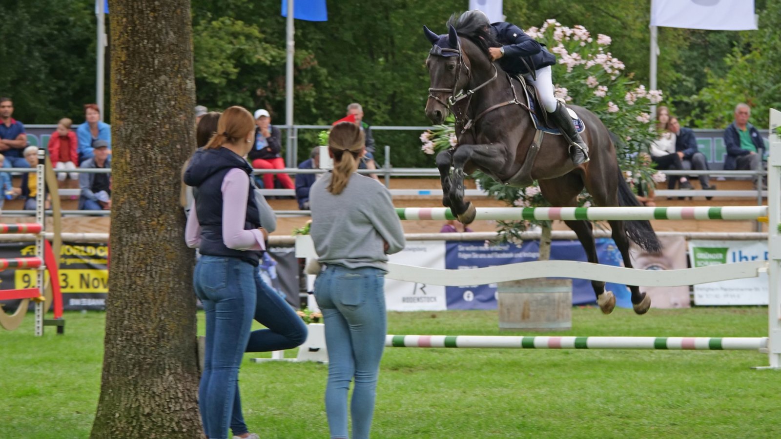 Auf großes Interesse stieß das Reitturnier. Viele sahen den Pferden zu, wie sie die Hürden nahmen. Auf großes Interesse stieß das Reitturnier. Viele sahen den Pferden zu, wie sie die Hürden nahmen.