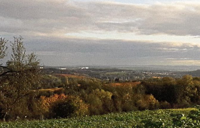 In der Morgensonne leuchtet nicht nur das bunte Herbstlaub in Aurich, sondern in der Ferne auch Breuninger und Co. im Gewerbepark Eichwald.  Foto: Rücker