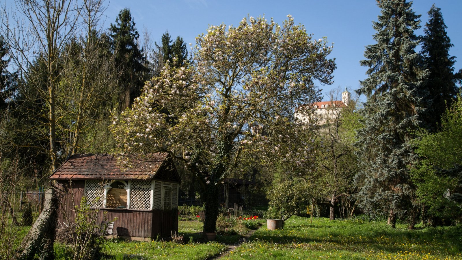Die Bürgergärten mit Blick aufs Vaihinger Schloss Kaltenstein.  Fotos: pv